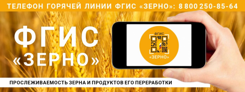 В России начнёт действовать система прослеживаемости зерна – ФГИС «Зерно»