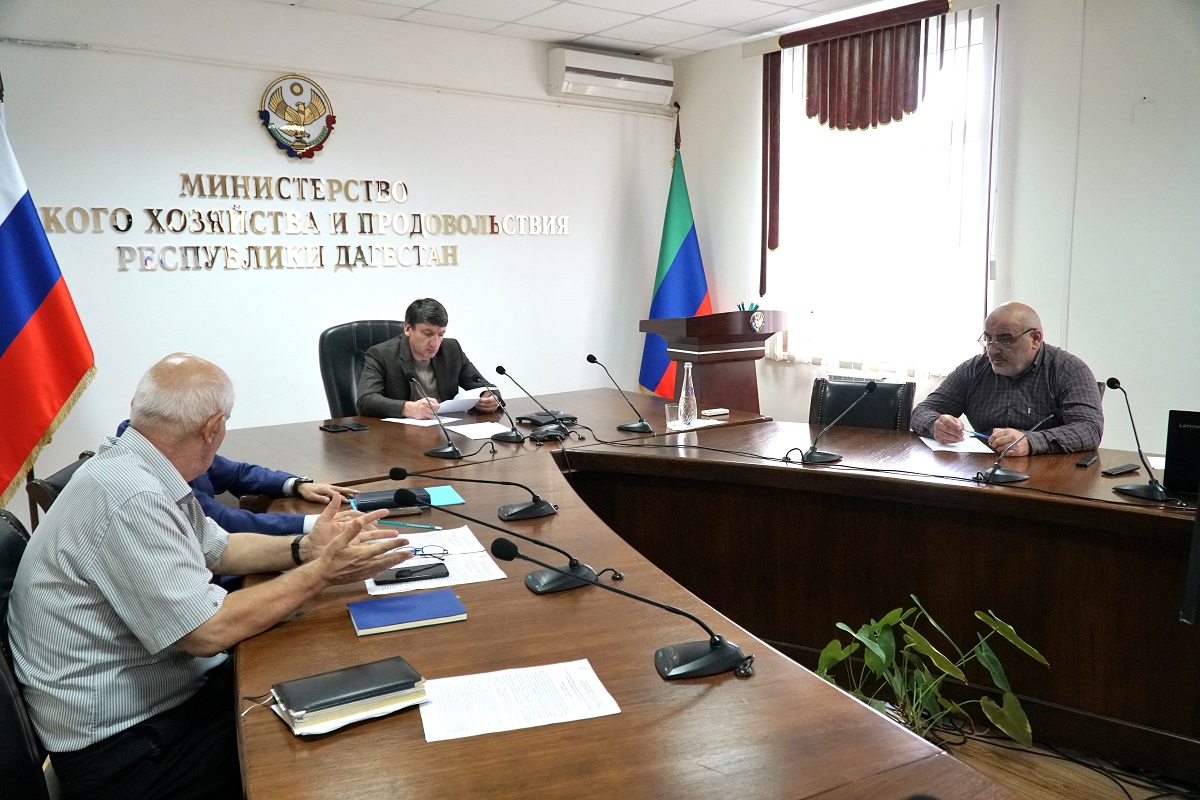 Врио министра сельского хозяйства и продовольствия РД Зураб Куччаев принял участие в совещании в режиме ВКС