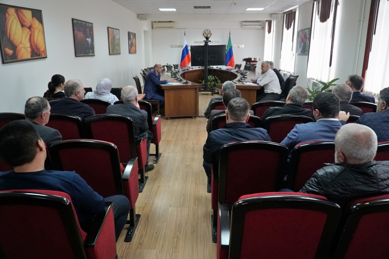 Стратегию развития овцеводства и козоводства обсудили в Минсельхозпроде Дагестана