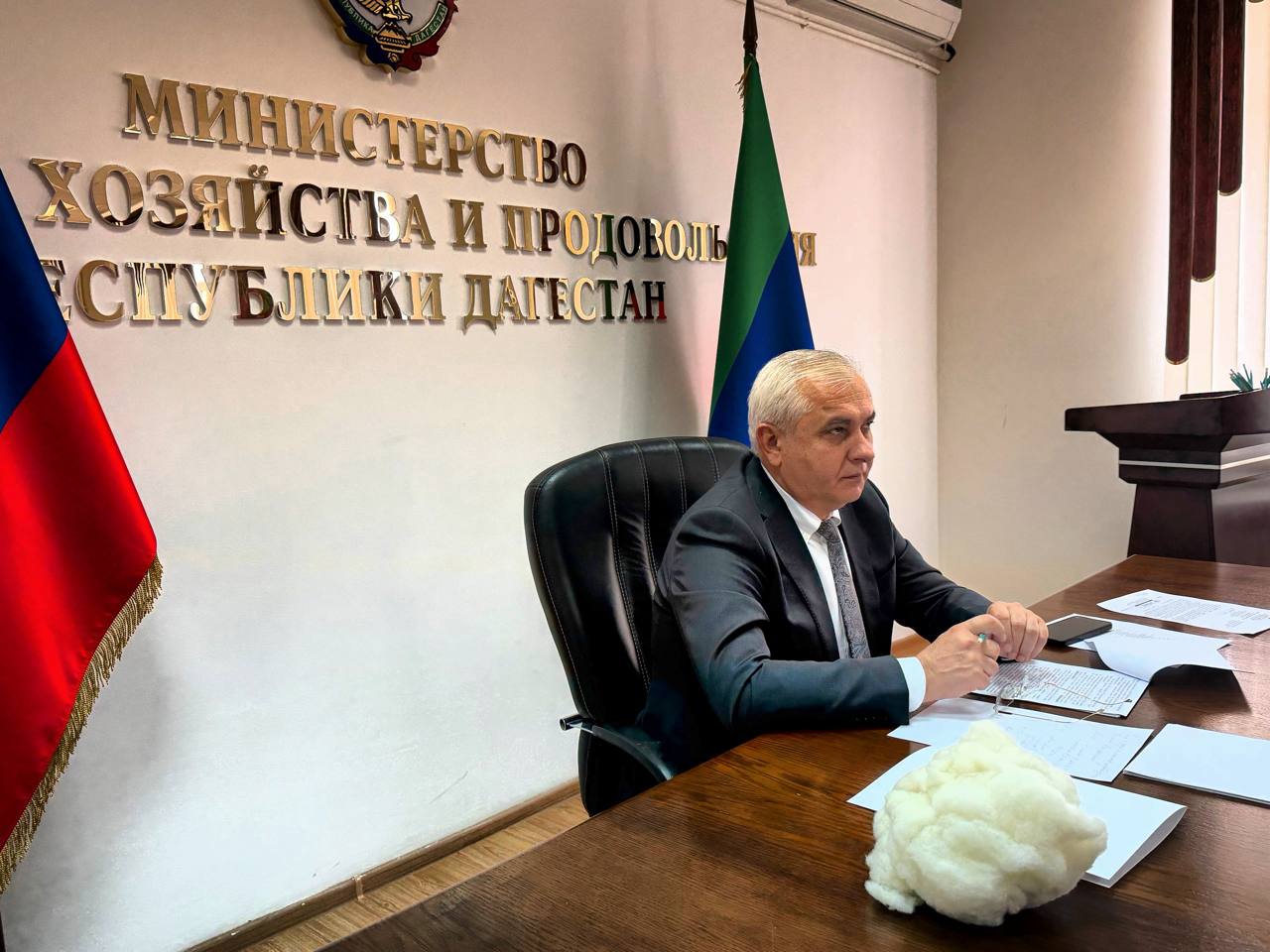 Шамиль Джамалов принял участие в совещании Минсельхоза России по кооперации закупщиков шерсти