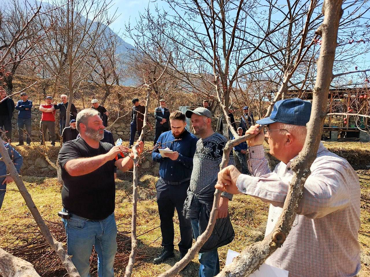 В Дагестане определят лучшего обрезчика сада