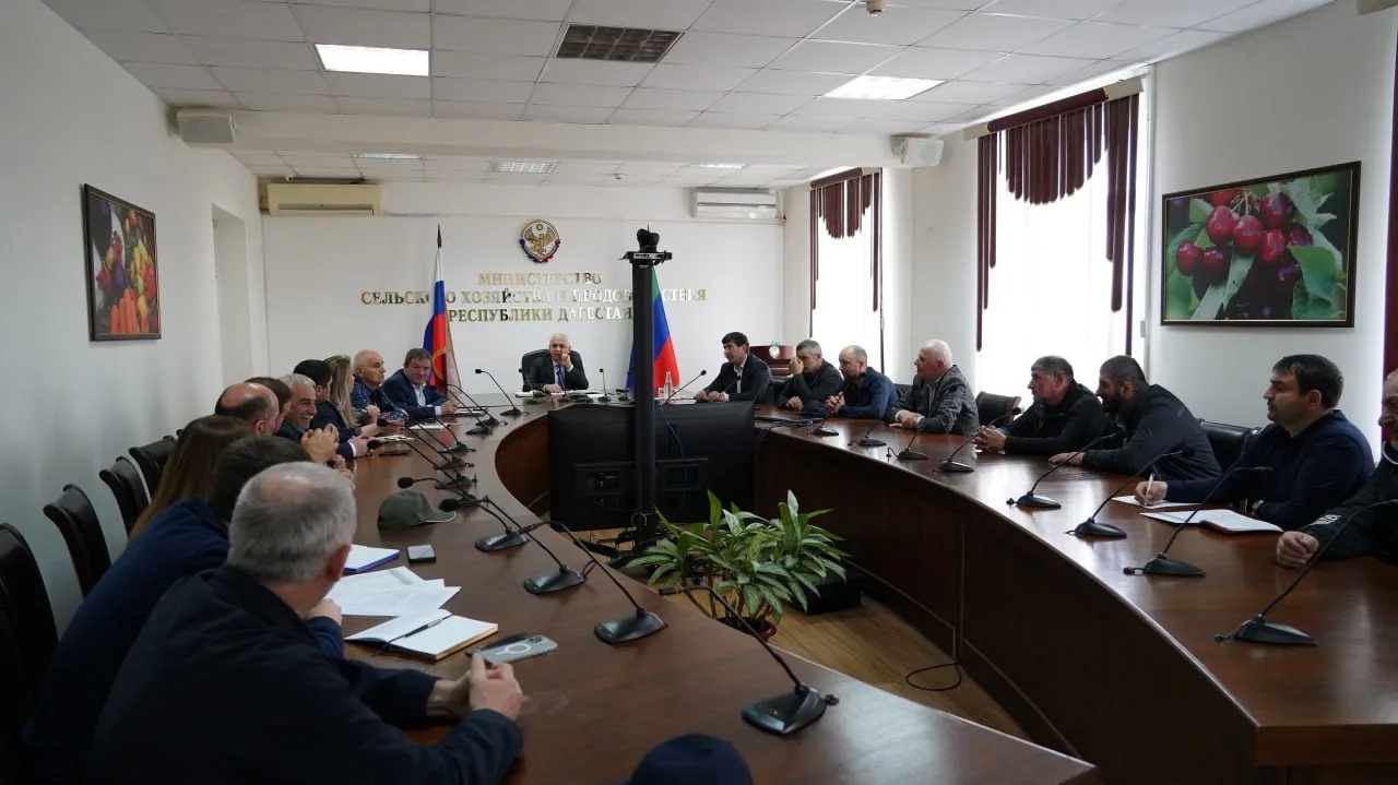 15 животноводческих хозяйств представят Дагестан на XXIV Российской выставке племенных овец и коз в Элисте