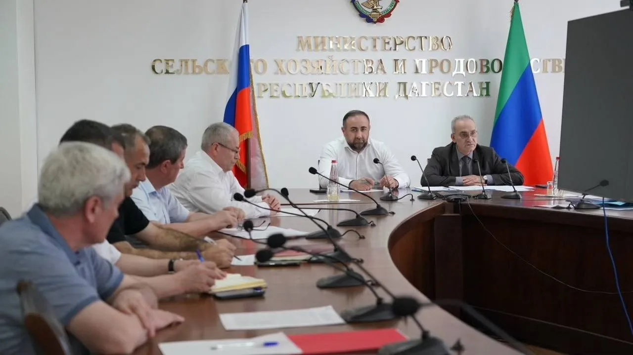 Реализацию нацпроектов и мер господдержки аграриев обсудили в Минсельхозпроде Дагестана