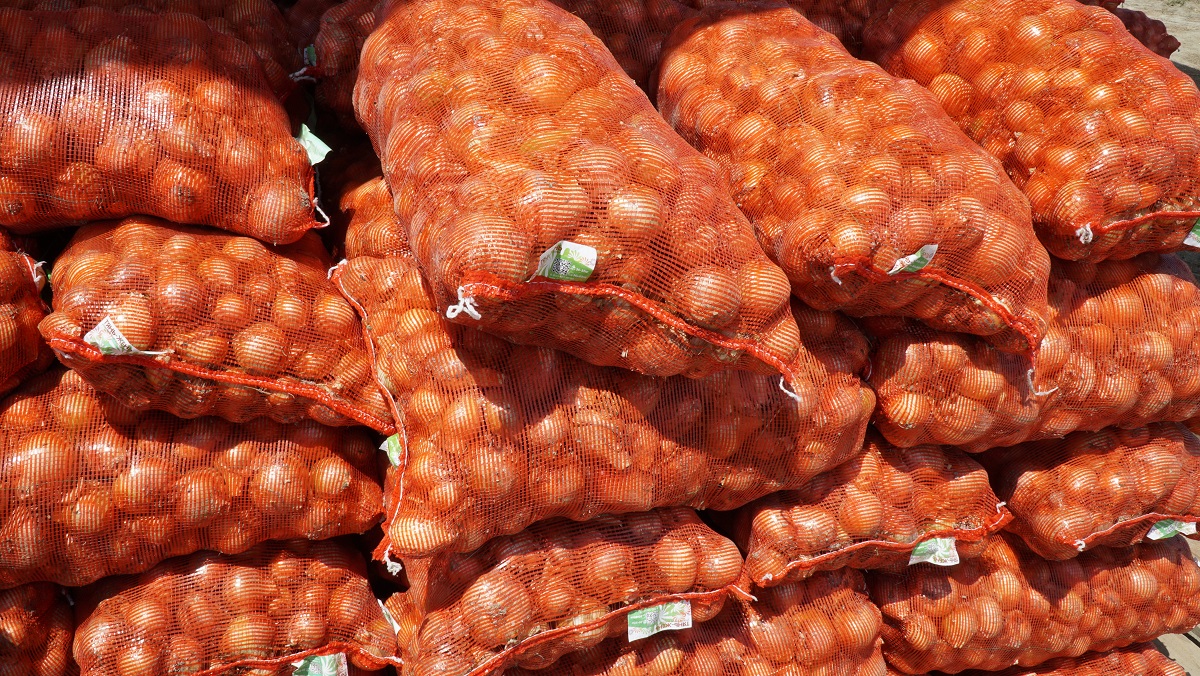В новом бескаркасном овощехранилище ООО «ДагАгро» в Хасавюртовском районе разместилась первая тысяча тонн лука  собственного производства!