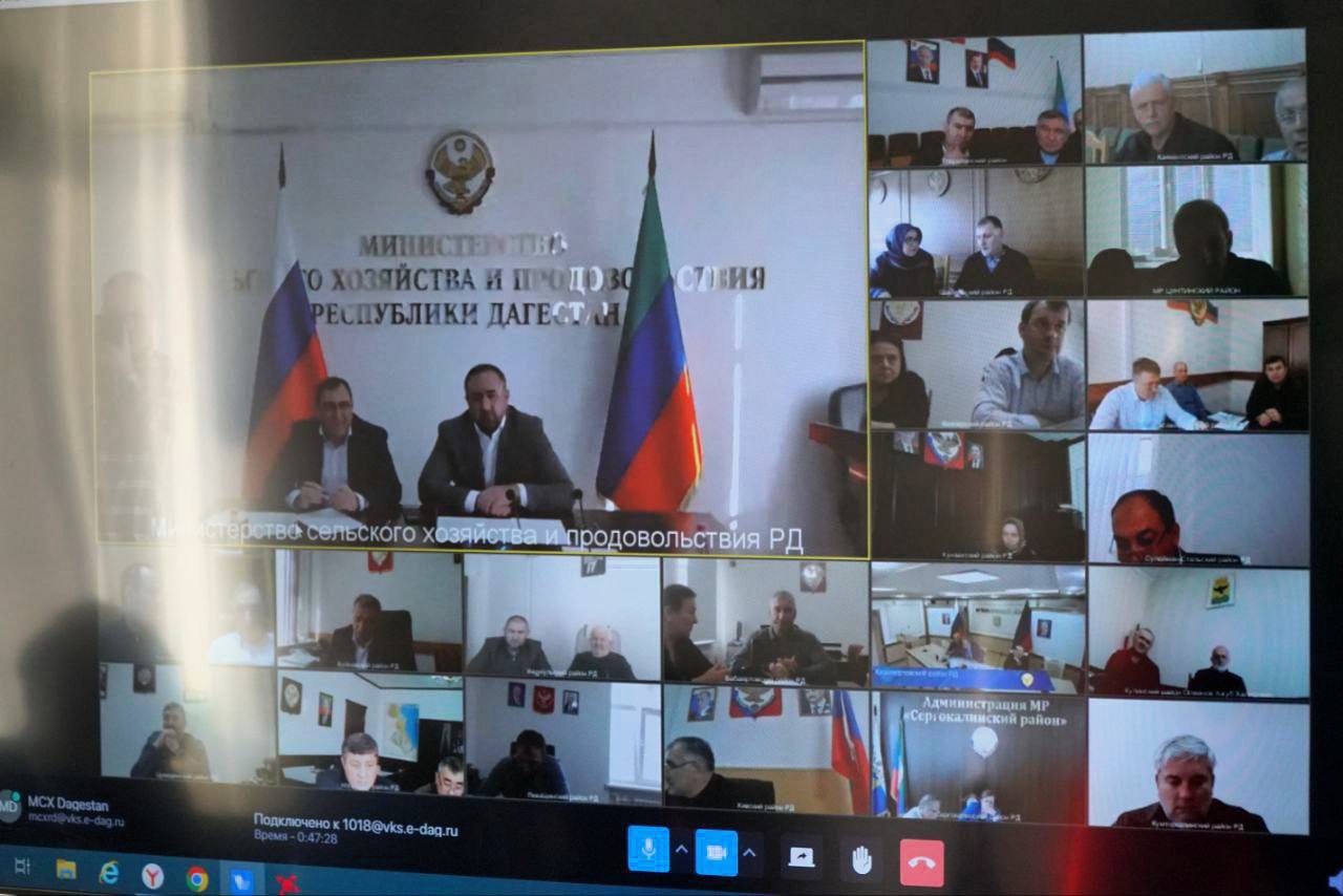 В Минсельхозпроде Дагестана обсудили вопросы формирования статистической отчетности в АПК