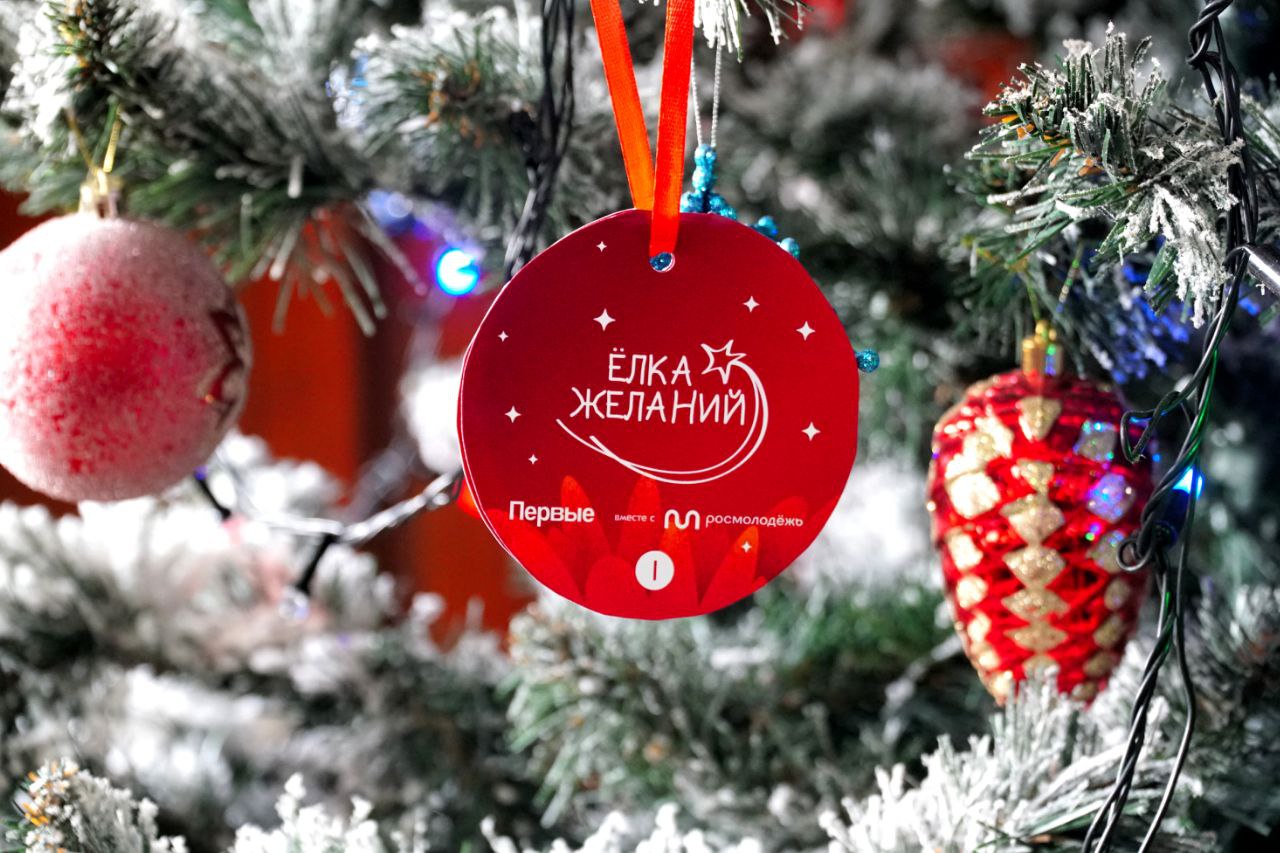 Работники Минсельхозпрода Дагестана и подведомственных учреждений присоединились к акции «Елка желаний»