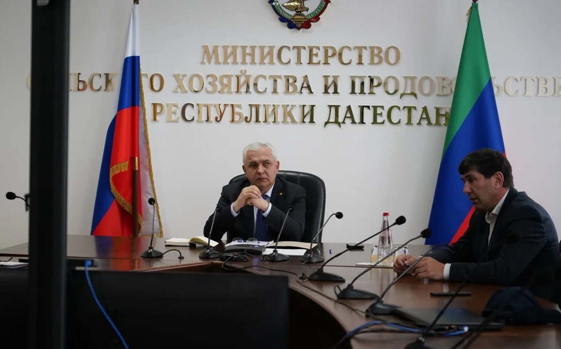 15 животноводческих хозяйств представят Дагестан на XXIV Российской выставке племенных овец и коз в Элисте